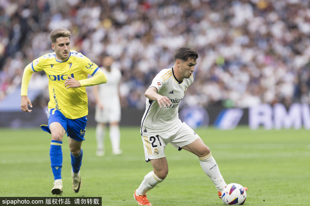 岁以上的年 岁以上的年